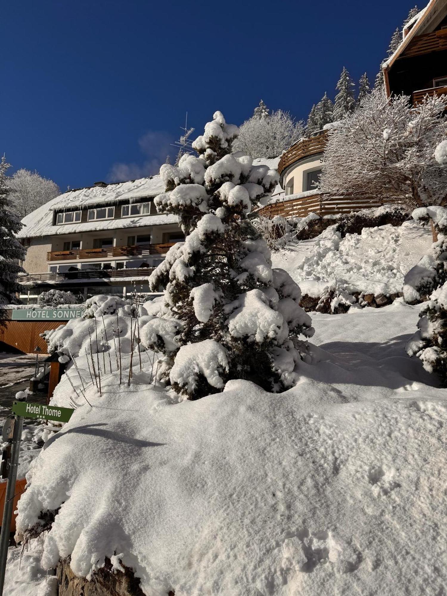 Hotel Sonnenberg Garni 힌터짤텐 외부 사진